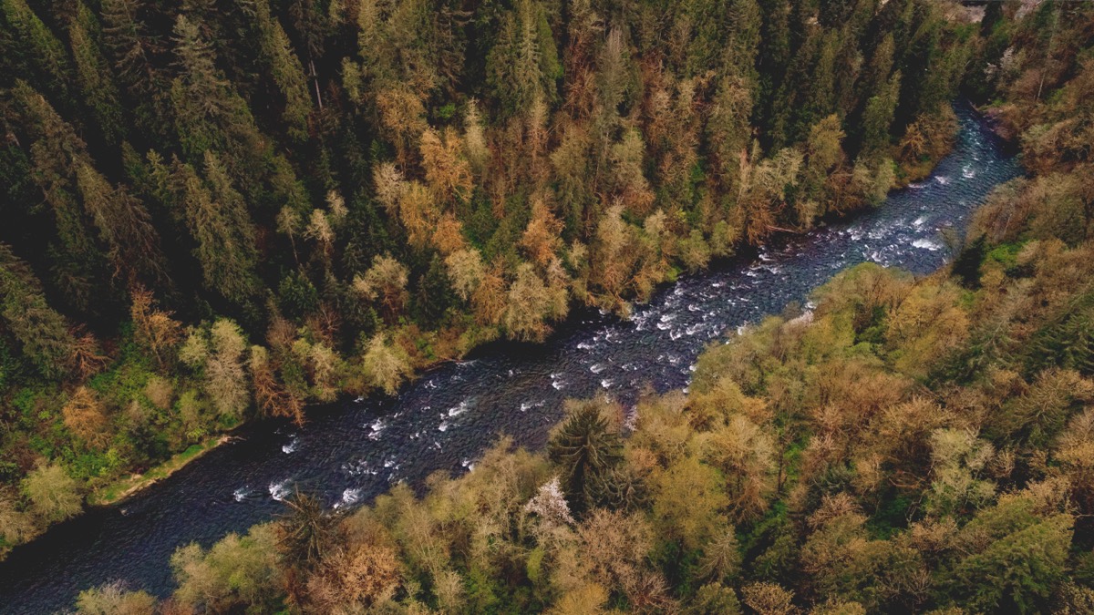 Aerial view of the Green River near Black Diamond, Washington
